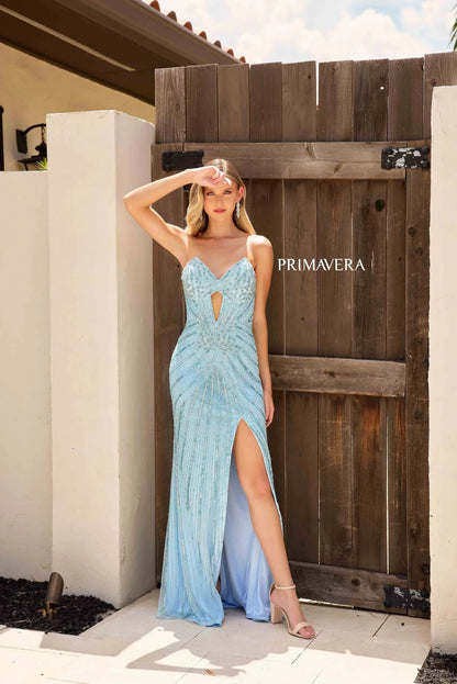 Primavera 4309