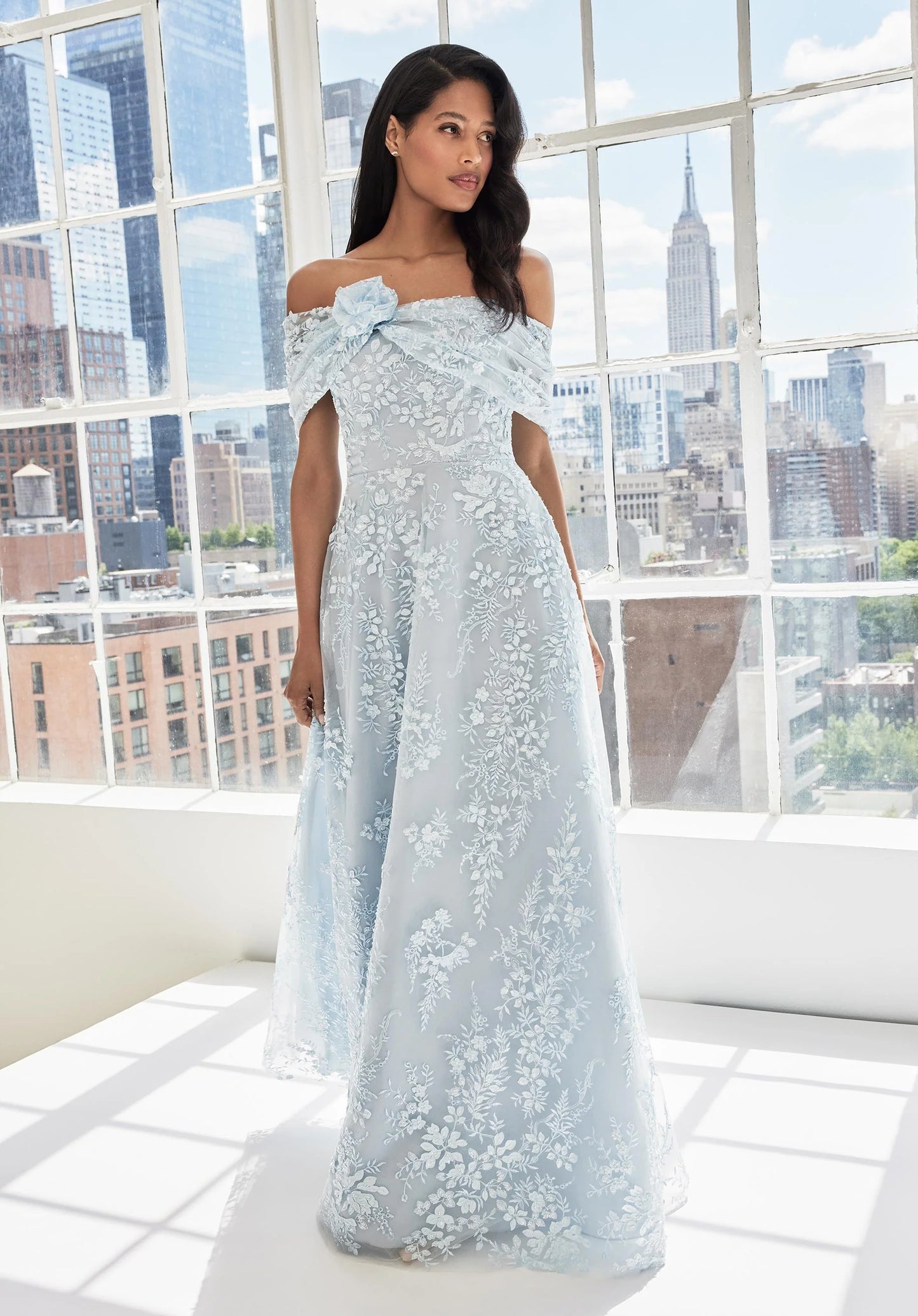 MLNY 73101